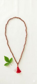 Rudraksha mala 108 8mm - Image 4