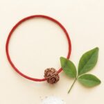 5Mukhi singal rudraksha with red Sutra