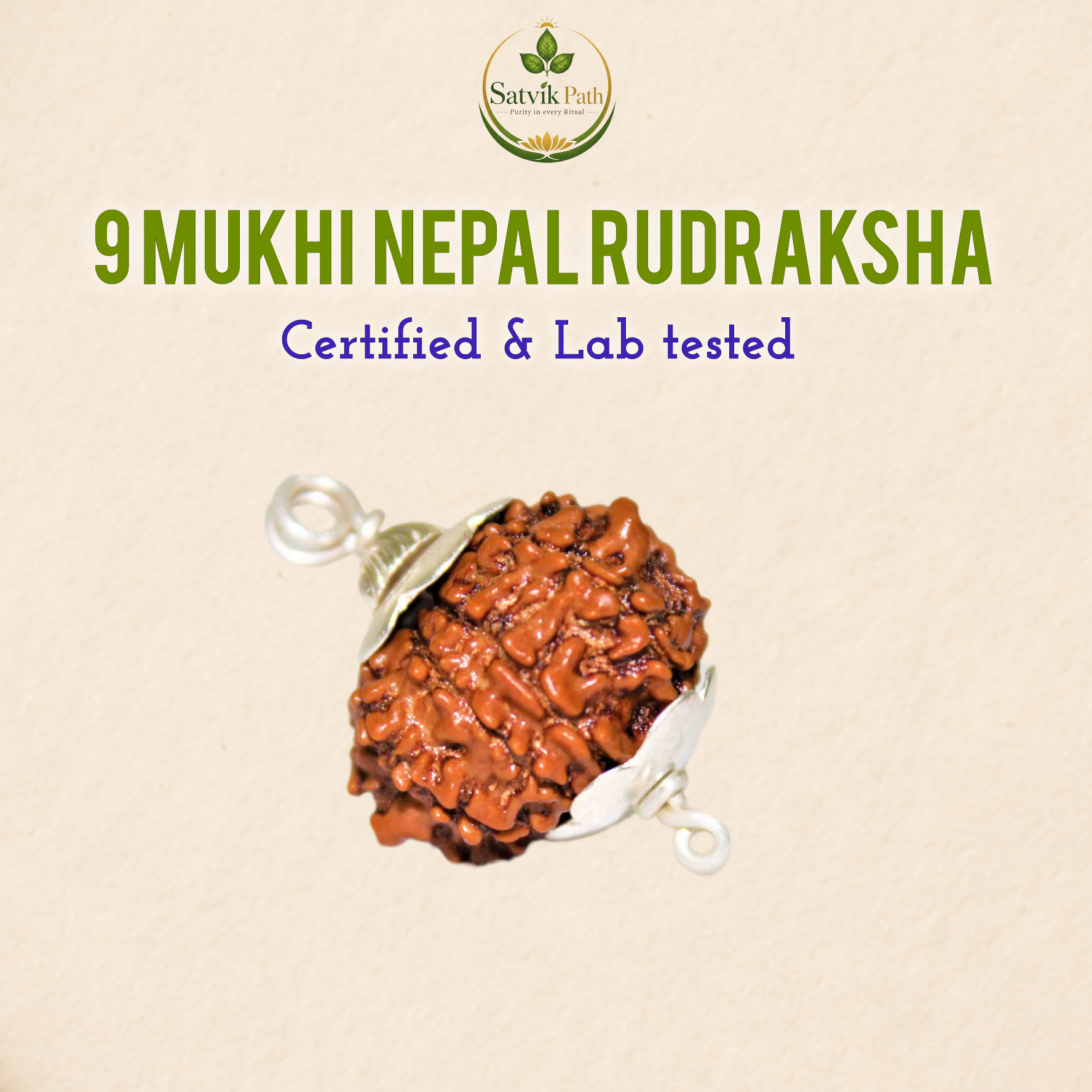 InShot_20260507_151347762 9Mukhi Nepal Rudraksha with Silver cap - Image 1