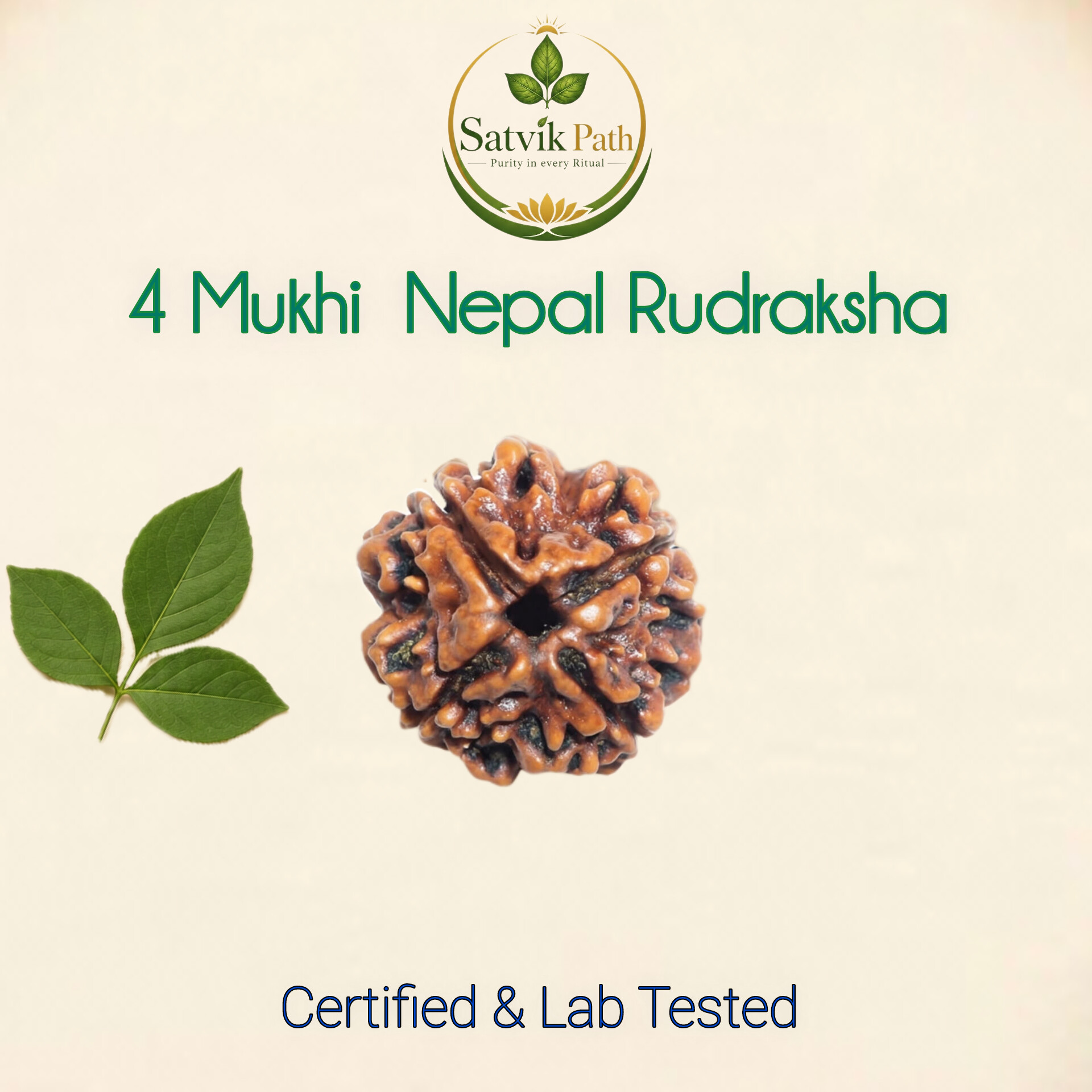 InShot_20260507_224209557 4 Mukhi Nepal Rudraksha - Image 1