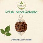 3Mukhi Nepal Rudraksha silver cap