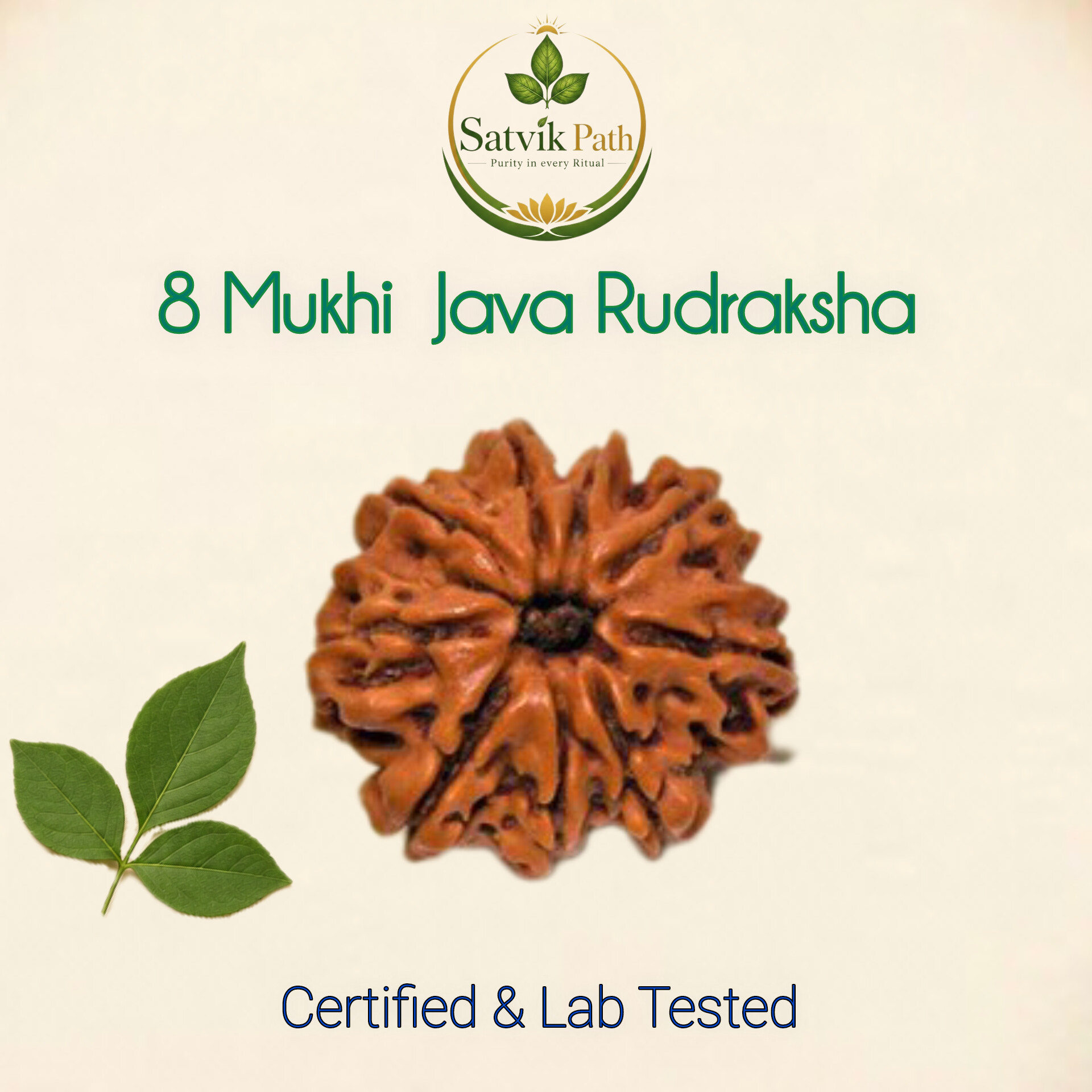 InShot_20260507_230526723 8Mukhi Java Rudraksha with Silver cap - Image 1